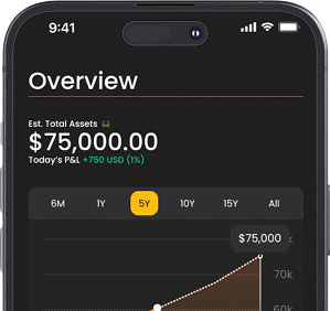 Tigerblocks App Demo In Phone